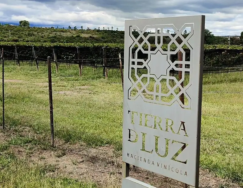 Tierra de Luz Hacienda Vinícola horarios dirección actividades vinos como llegar información