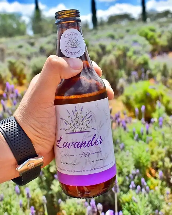 bebidas tradicionales de Guanajuato 