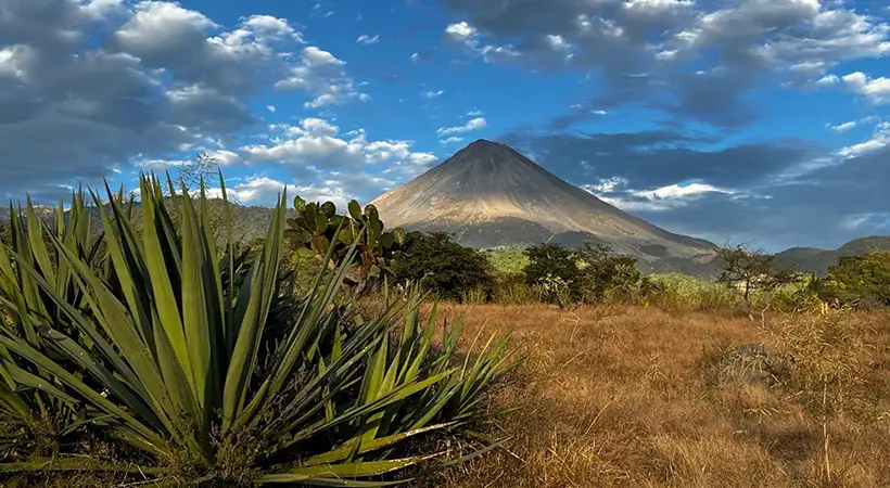 Mezcal de Colima