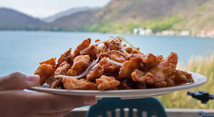 recetas tradicionales de nayarit