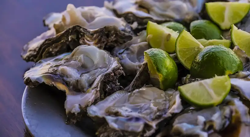 platillos tradicionales de costalegre jalisco