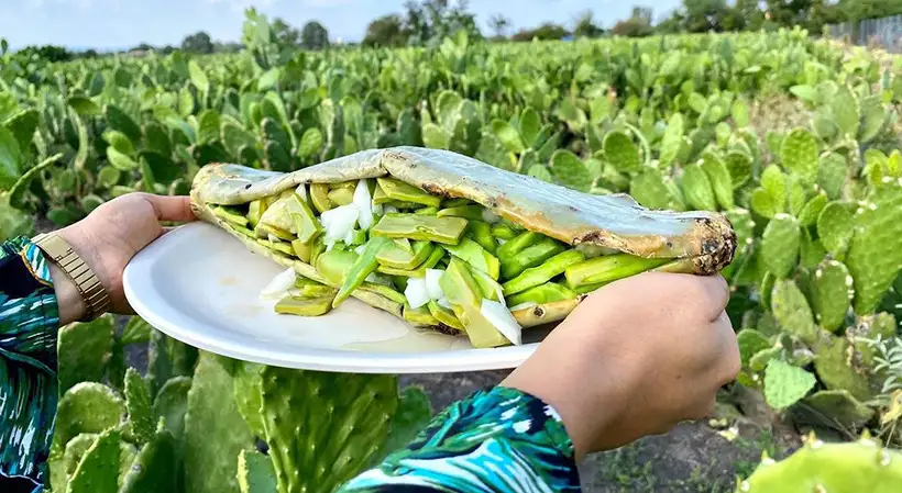 penca rellena valtierrilla salamanca receta modo de preparación