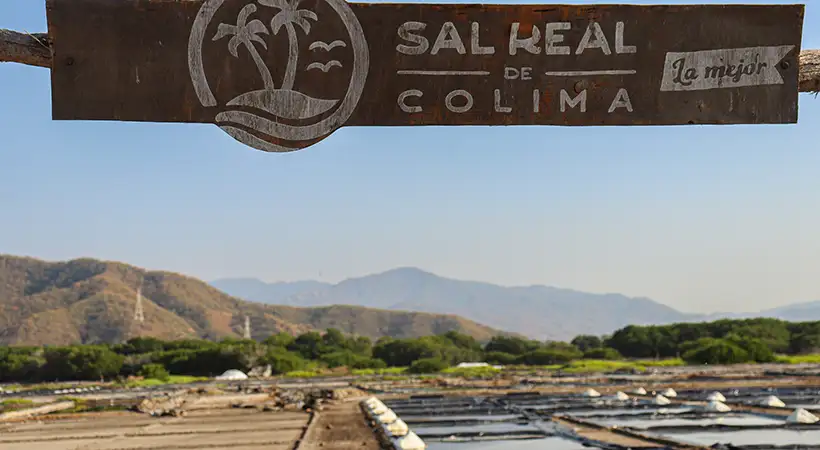 sal-real-de-colima-fest-2025-fechas-actividades-